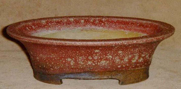 bonsai pot